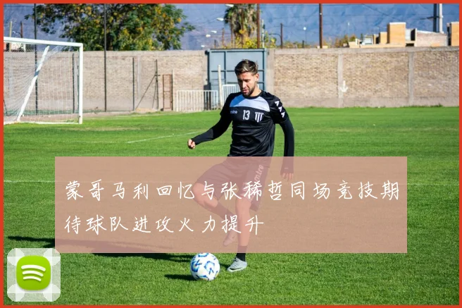 蒙哥马利回忆与张稀哲同场竞技期待球队进攻火力提升