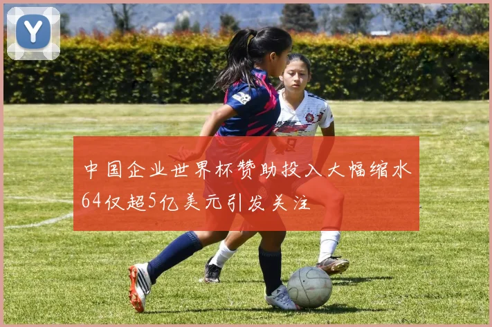 中国企业世界杯赞助投入大幅缩水64仅超5亿美元引发关注