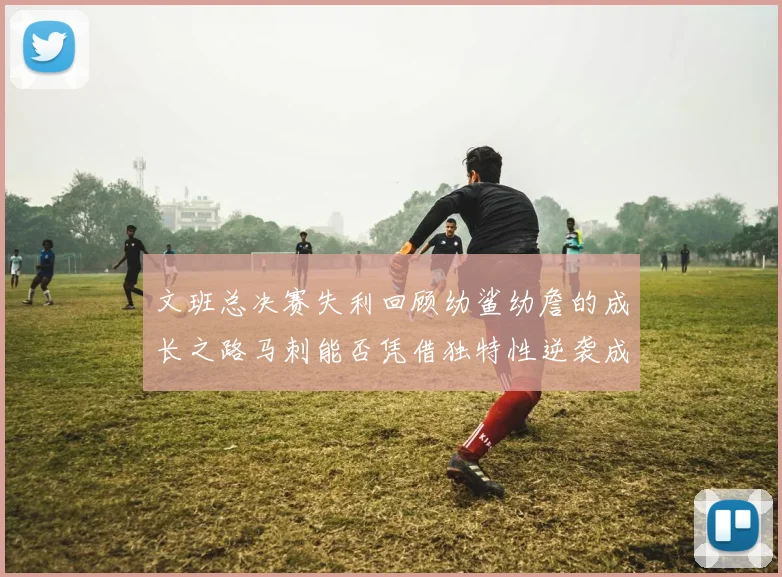 文班总决赛失利回顾幼鲨幼詹的成长之路马刺能否凭借独特性逆袭成功