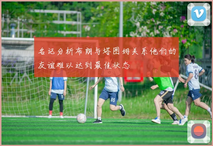 名记分析布朗与塔图姆关系他们的友谊难以达到最佳状态